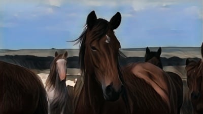 After Video Cartoonizer