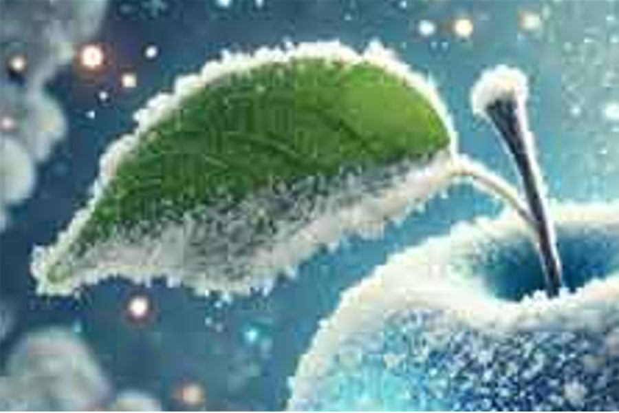 Image Before Upscaling